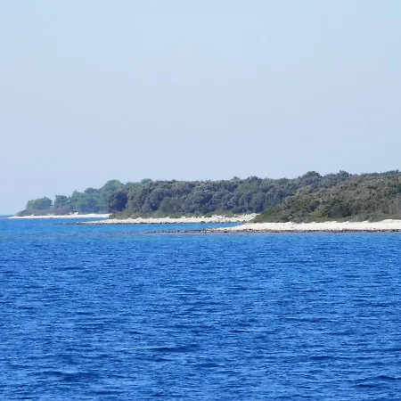 Tiho Guest house
